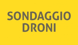 1488042914_sondaggio.jpg