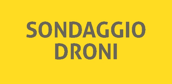 1488042914_sondaggio.jpg